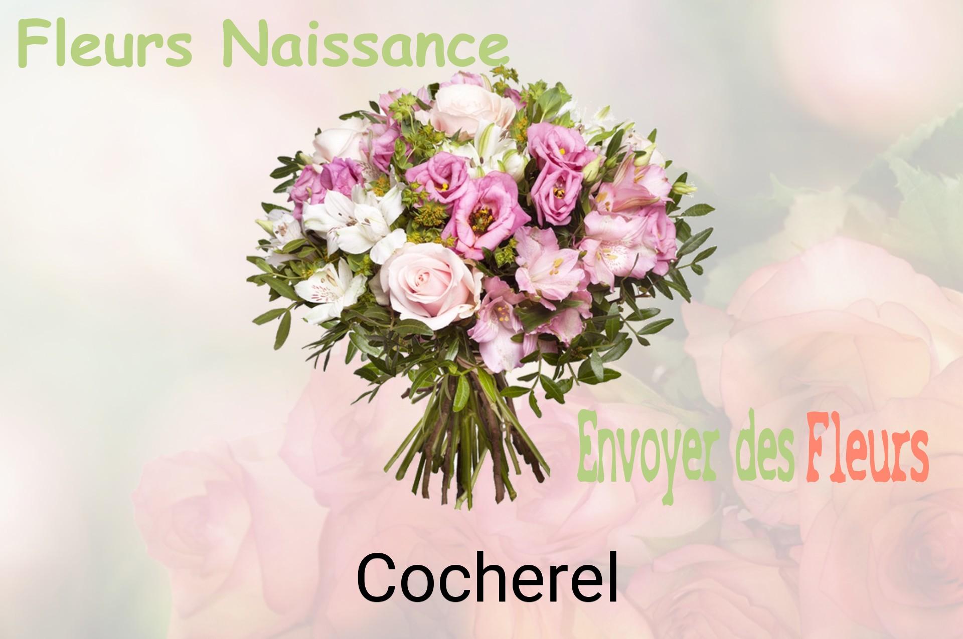 Bouquet de fleurs de naissance livré à Cocherel
